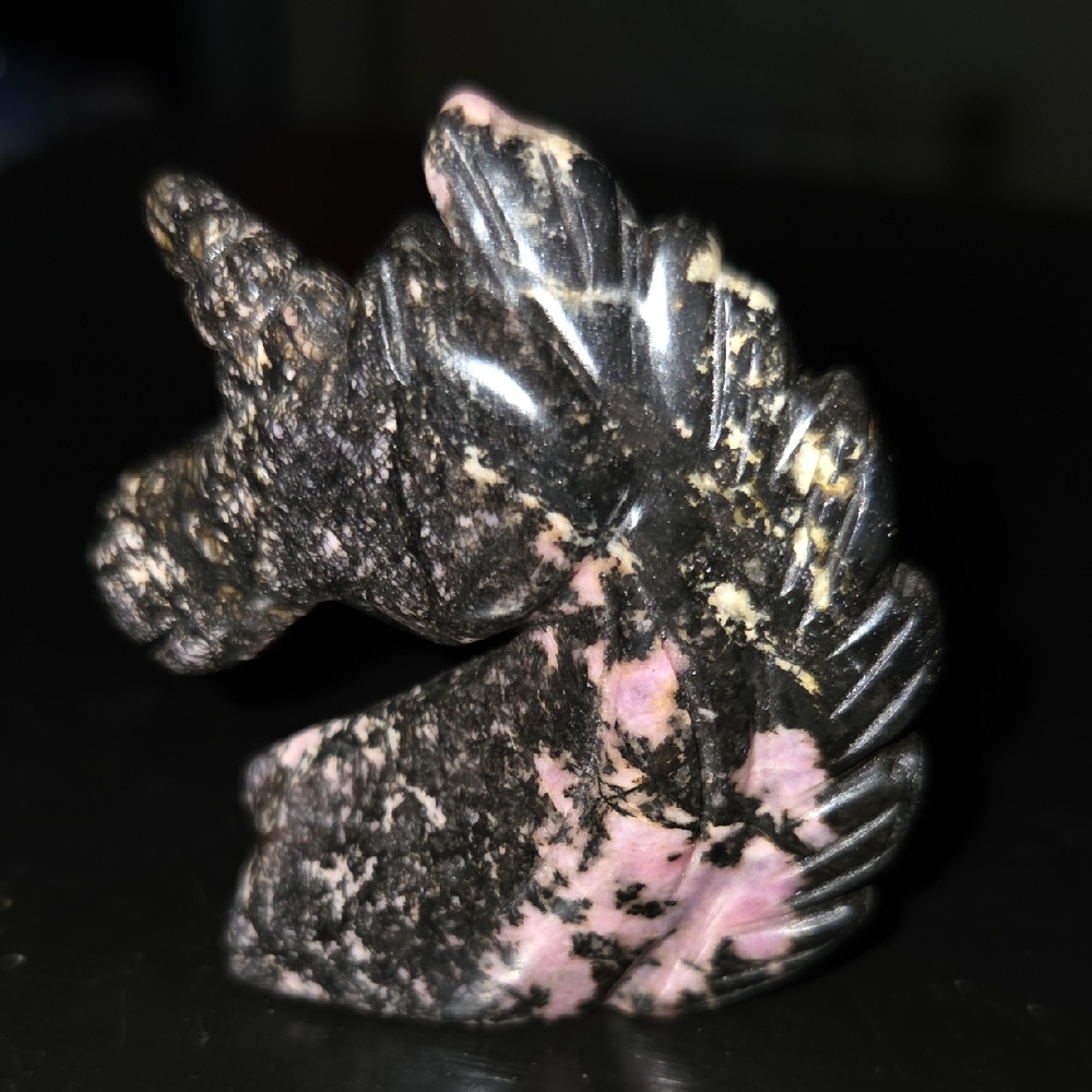 Black Rhodonite Natural Stone Unicorn Crystal Carving NEW